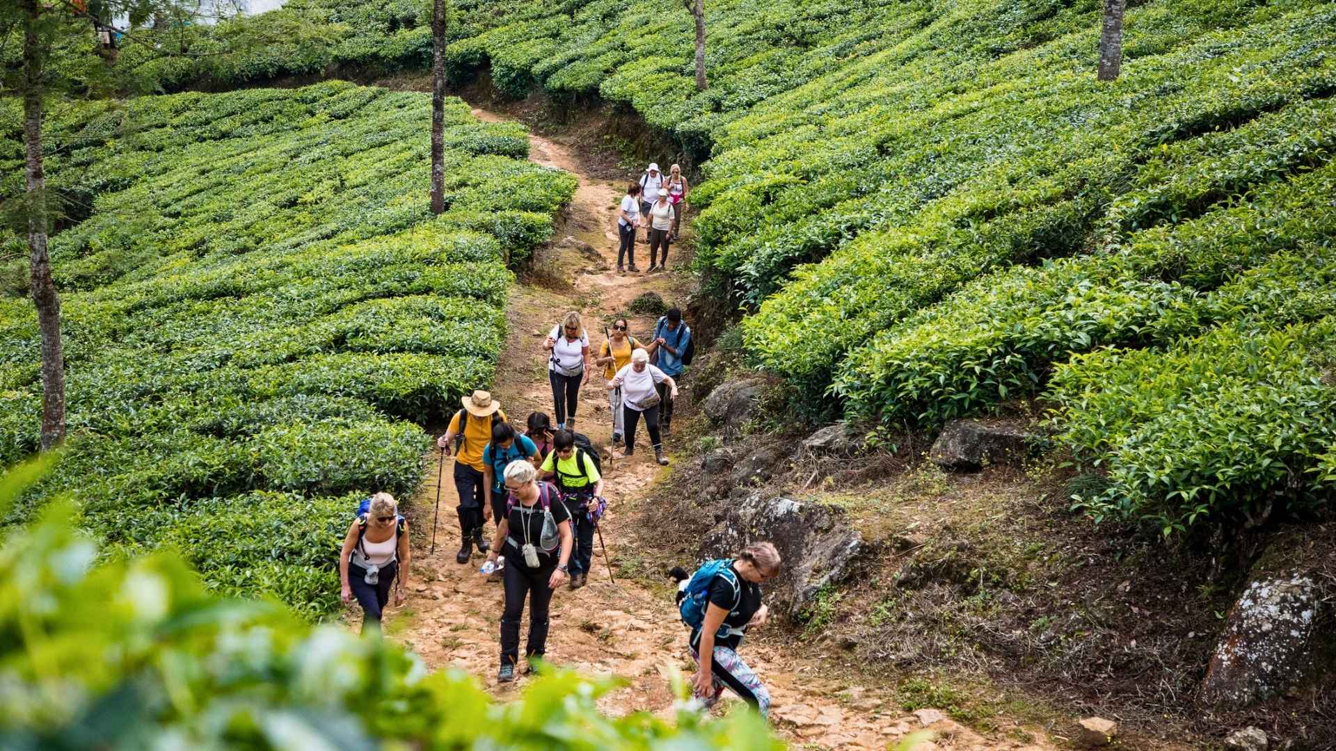 Letchmi Trekking