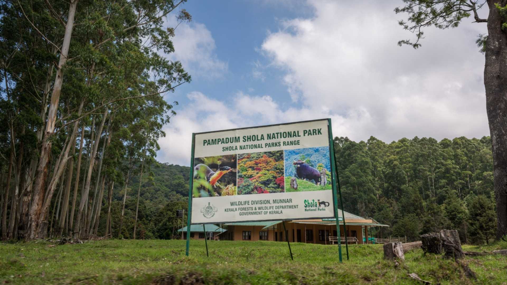 Pampadum Shola Trekking